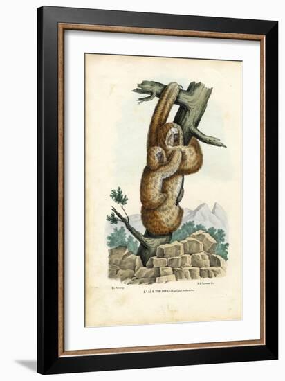 Three-Toed Sloth, 1863-79-Raimundo Petraroja-Framed Giclee Print
