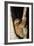 Three-Toed Sloth-null-Framed Photographic Print