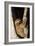 Three-Toed Sloth-null-Framed Photographic Print