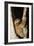 Three-Toed Sloth-null-Framed Photographic Print