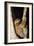 Three-Toed Sloth-null-Framed Photographic Print