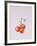 Three Tomatoes on the Vine, 1997-Alison Cooper-Framed Giclee Print