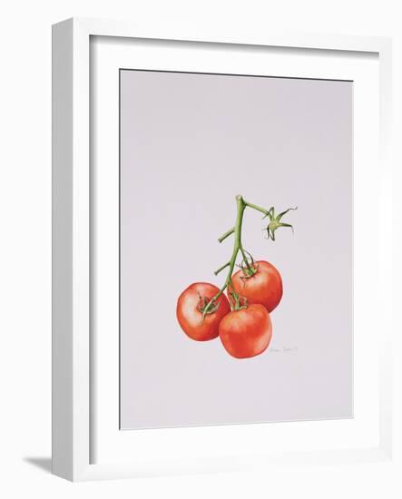 Three Tomatoes on the Vine, 1997-Alison Cooper-Framed Giclee Print