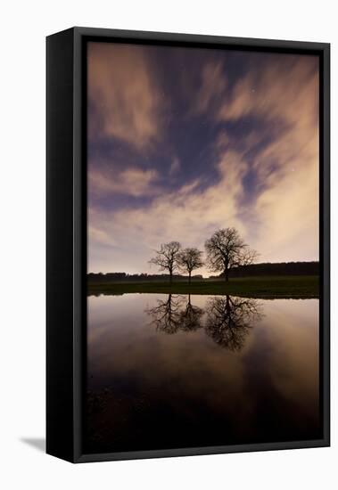 Three Trees Reflected in a Pond in Richmond Park at Night-Alex Saberi-Framed Premier Image Canvas