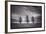 Three Trees-Steve Gadomski-Framed Photographic Print