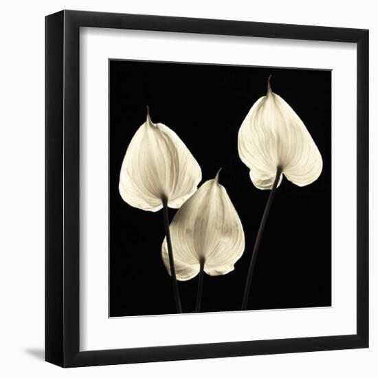 Three Tropicals-Michael Harrison-Framed Art Print