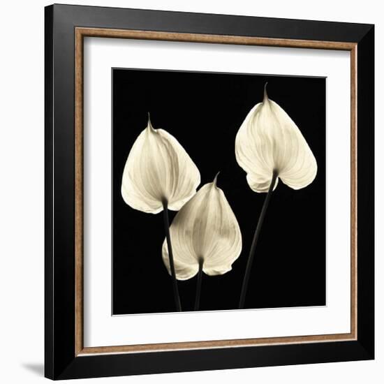 Three Tropicals-Michael Harrison-Framed Art Print