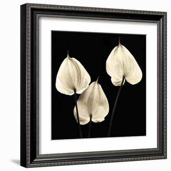 Three Tropicals-Michael Harrison-Framed Art Print