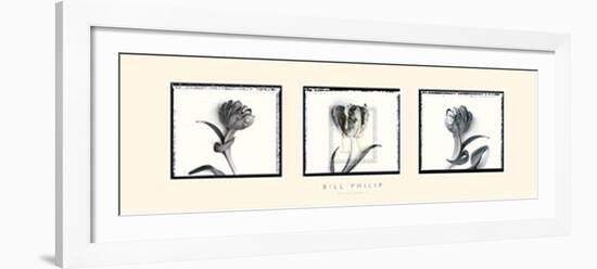 Three Tulips II-Bill Philip-Framed Art Print