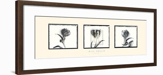 Three Tulips II-Bill Philip-Framed Art Print