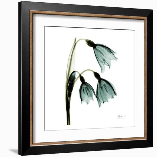 Three Tulips in Green-Albert Koetsier-Framed Art Print