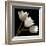 Three Tulips-Michael Harrison-Framed Giclee Print