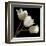 Three Tulips-Michael Harrison-Framed Giclee Print