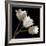 Three Tulips-Michael Harrison-Framed Giclee Print