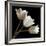 Three Tulips-Michael Harrison-Framed Giclee Print