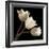 Three Tulips-Michael Harrison-Framed Art Print