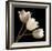 Three Tulips-Michael Harrison-Framed Art Print