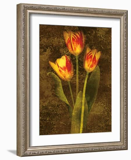 Three Tulips-John Seba-Framed Art Print