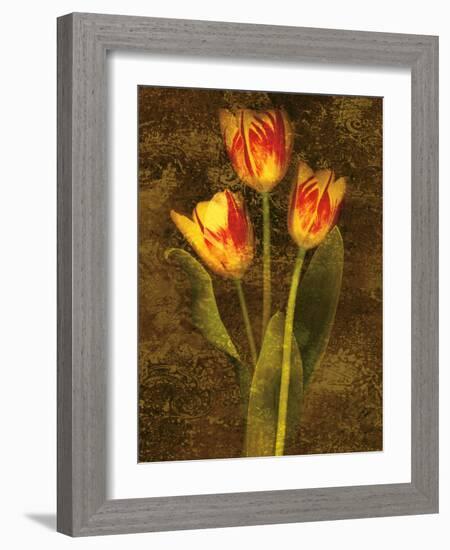 Three Tulips-John Seba-Framed Art Print