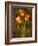 Three Tulips-John Seba-Framed Art Print