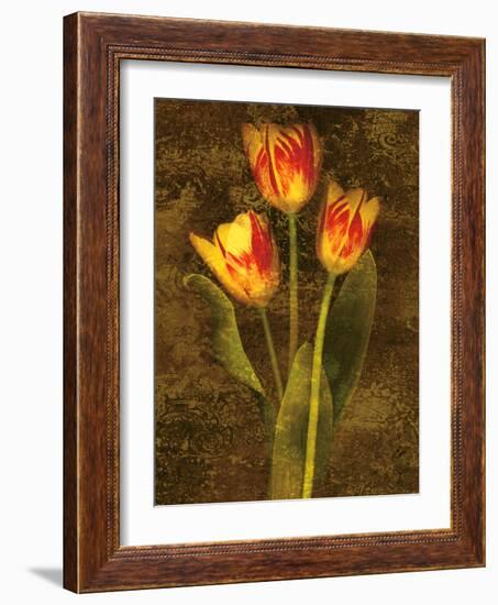 Three Tulips-John Seba-Framed Art Print