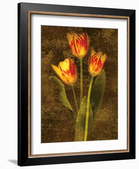 Three Tulips-John Seba-Framed Art Print