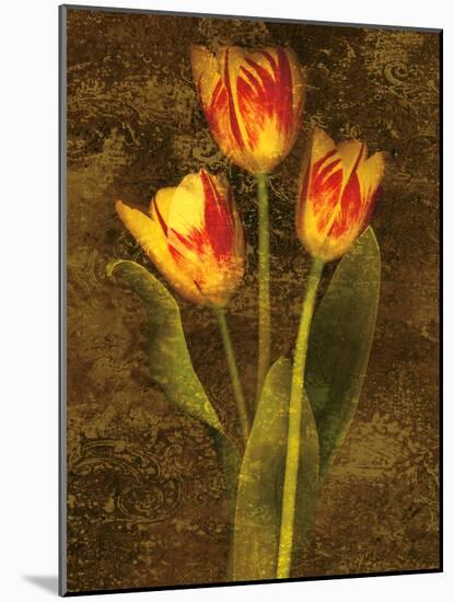 Three Tulips-John Seba-Mounted Art Print