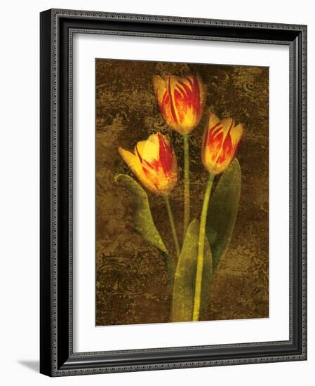 Three Tulips-John Seba-Framed Art Print