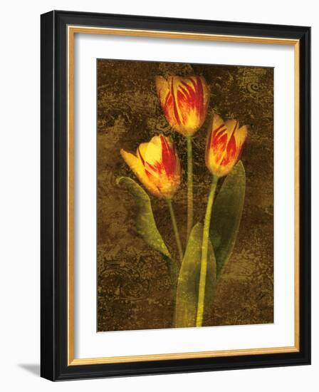 Three Tulips-John Seba-Framed Art Print