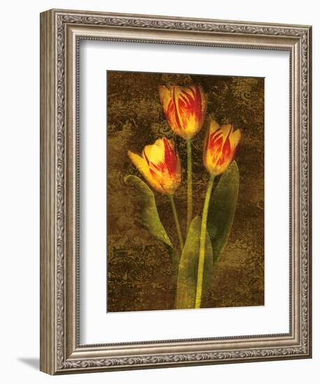 Three Tulips-John Seba-Framed Premium Giclee Print