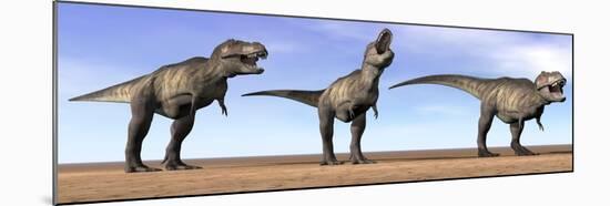 Three Tyrannosaurus Rex Dinosaurs Standing in the Desert-null-Mounted Art Print