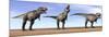 Three Tyrannosaurus Rex Dinosaurs Standing in the Desert-null-Mounted Art Print