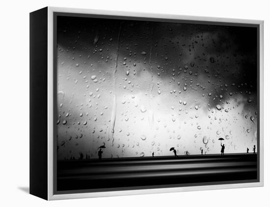 Three Umbrellas-Josh Adamski-Framed Premier Image Canvas