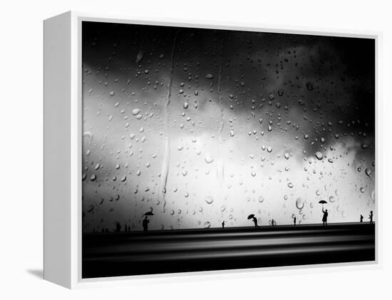 Three Umbrellas-Josh Adamski-Framed Premier Image Canvas