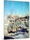 Photographic Print