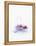 Three Unpeeled Cloves of Garlic-Marc O^ Finley-Framed Premier Image Canvas