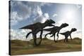 Stretched Canvas Print