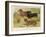 Three Varieties of Dachshund, Smooth Red and Black-And-Tan-Vero Shaw-Framed Art Print