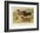 Three Varieties of Dachshund, Smooth Red and Black-And-Tan-Vero Shaw-Framed Premium Giclee Print