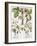 Three Varieties of Strawberry-Basilius Besler-Framed Giclee Print