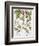 Three Varieties of Strawberry-Basilius Besler-Framed Giclee Print