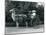 Three Visitors, Including Two Young Girls, Riding in a Cart Pulled by a Llama, London Zoo, C.1912-Frederick William Bond-Mounted Photographic Print