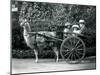 Three Visitors, Including Two Young Girls, Riding in a Cart Pulled by a Llama, London Zoo, C.1912-Frederick William Bond-Mounted Photographic Print