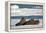 Three Walrus (Odobenus Rosmarus) Resting on Sea Ice, Svalbard, Norway, August 2009-Cairns-Framed Premier Image Canvas