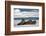 Three Walrus (Odobenus Rosmarus) Resting on Sea Ice, Svalbard, Norway, August 2009-Cairns-Framed Photographic Print