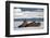 Three Walrus (Odobenus Rosmarus) Resting on Sea Ice, Svalbard, Norway, August 2009-Cairns-Framed Photographic Print