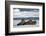 Three Walrus (Odobenus Rosmarus) Resting on Sea Ice, Svalbard, Norway, August 2009-Cairns-Framed Photographic Print