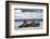 Three Walrus (Odobenus Rosmarus) Resting on Sea Ice, Svalbard, Norway, August 2009-Cairns-Framed Photographic Print