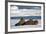 Three Walrus (Odobenus Rosmarus) Resting on Sea Ice, Svalbard, Norway, August 2009-Cairns-Framed Photographic Print