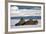 Three Walrus (Odobenus Rosmarus) Resting on Sea Ice, Svalbard, Norway, August 2009-Cairns-Framed Photographic Print